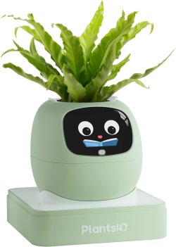 Ivy, pot connecté
