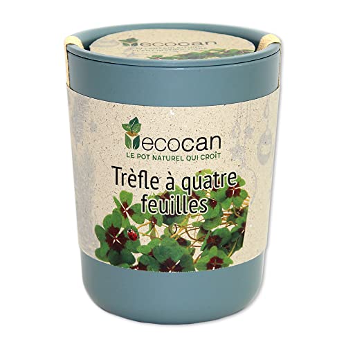 Mini Kit Trèfle Porte-Bonheur